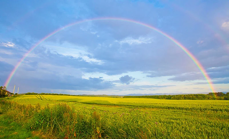 Rainbow